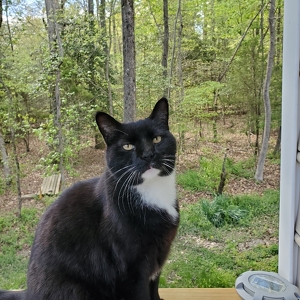 Fundraising Page: Thelma Ruhlen